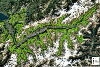 La vue des forêts valaisannes situées au-dessus de 1200 mètres, par dates, grâce à l'outil Google Earth Engine.