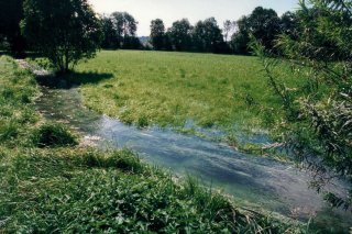 Un exemple de prairie irriguée à Lotzwil, dans la Haute-Argovie bernoise.