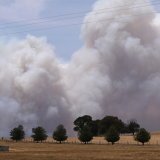 L'un des feux de brousse les plus destructeurs a parcouru près de 150'000 hectares près de Longwood. KEYSTONE/EPA/JOEL CARRETT