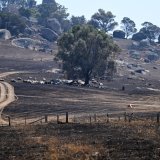 De la terre brûlée à Ruffy, dans l'Etat de Victoria. KEYSTONE/EPA/JAMES ROSS
