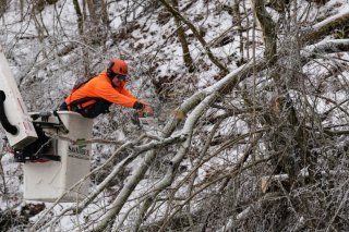 Une tronçonneuse pour abattre un arbre au-dessus d’une route à Nashville, dans le Tennessee, une région aussi touchée par la vague de froid. KEYSTONE/AP/George Walker IV