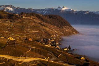 Un nouveau Plan de gestion a été signé lundi pour le site de Lavaux (archives). KEYSTONE/JEAN-CHRISTOPHE BOTT