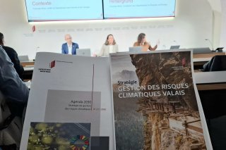 Au total, huit domaines d'actions sont prévus dans la stratégie : dangers naturels, gestion de l'eau, écosystèmes ou encore santé. Mais aussi, économie, agriculture et alimentation, bâtiments ainsi qu'aménagement du territoire et mobilité.