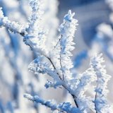 glace-givre-givre-hoar-gel-froid_121-19743