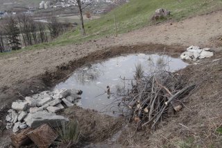 Copyright_Drosera_SA (1)