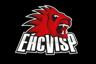 Le HC Viège s'est incliné 2-4 vendredi soir face à Langenthal.