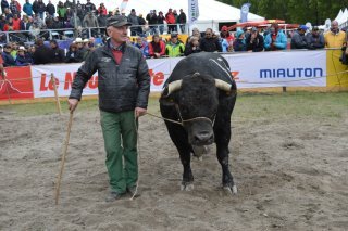 Rubis de Jean Moulin + HB Glassey