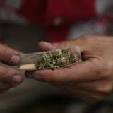 cannabis récréatif