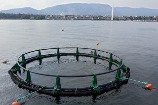 Cet équipement utilisé pour la pisciculture sert aussi à Genève à la décomposition des plantes aquatiques qui ont été faucardées.