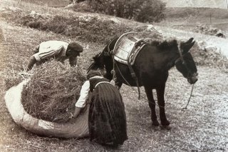 Les foins dans le Val de Bagnes