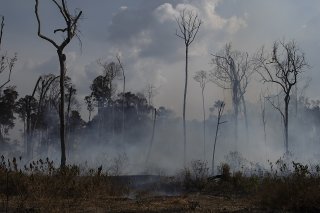 La déforestation de l'Amazonie brésilienne a atteint un record entre 2020 et 2021 (archives).