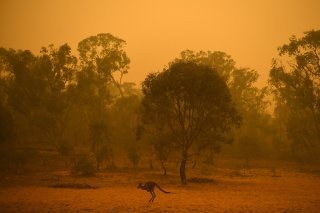 L'Australie est particulièrement éprouvée par le changement climatique, régulièrement frappée par des sécheresses, des feux de forêt dévastateurs, sans compter des inondations répétées et de plus en plus importantes (archives).