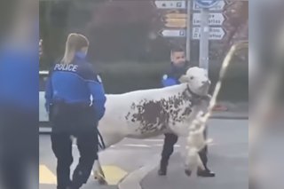 Monthey, la police s'active