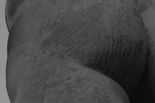 Ludovic Perrenoud _ Expo Bast'art