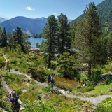Les jardins botaniques en pleine nature, comme ici, à Champex-Lac (Flore-Alpe) sont de véritables réserves naturelles.