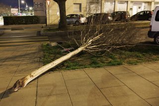 Comme ailleurs en Suisse, les pompiers de Lausanne ont dû intervenir à de nombreuses reprises en raison de la bise (photo d'illustration).