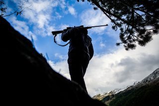 Les chasseurs sont les témoins de l'érosion de la biodiversité en Suisse (Image prétexte).