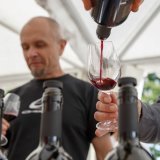 Dégustation de vins (image d'illustration)