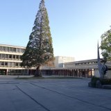 Des élèves qui quittent chaque semaine l'école pour tâter des milieux professionnels : le projet-pilote du cycle d'orientation de Derborence