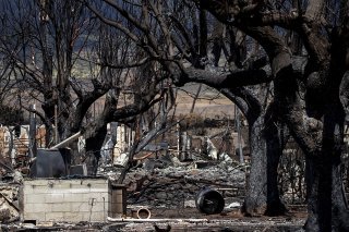 Pour l'heure, seuls 38% des décombres à Lahaina, ville historique presque entièrement détruite par les feux, ont été inspectés.