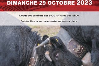 Ce match sera comme de coutume le dernier de l'année