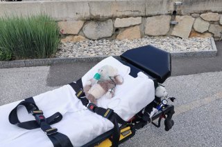 L'Hôpital des nounours a fait escale ce week-end à Sion