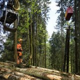 Le Triage Lienne-Morge a touché des subventions injustifiées pendant des années (image d'illustration)