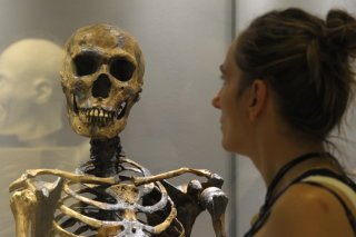 Percée génétique sur les origines des populations européennes (archives). KEYSTONE/AP dapd/MATTHIAS RIETSCHEL