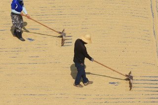 Les travailleurs en extérieur devraient toujours porter des couvre-chefs à large bord et des habits longs (image d'illustration). KEYSTONE/EPA YONHAP