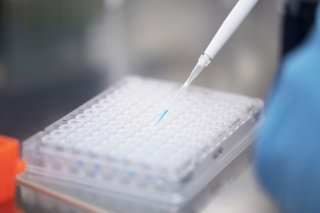 Quelque 200 chercheurs ont étudié différents aspects du coronavirus dans le cadre du Programme national de recherche "Covid-19". (Photo d'archives) Keystone/CHRISTIAN BEUTLER