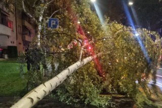 Dans le canton de Zurich, les pompiers sont intervenus une centaine de fois en raison de la tempête Frederico. Schutz und Rettung Zürich