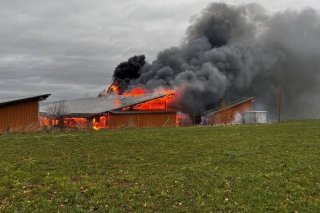 A l'arrivée des pompiers, la porcherie était déjà entièrement en feu. Ces derniers ont pu empêcher que les flammes ne se propagent aux autres étables Police cantonale BL