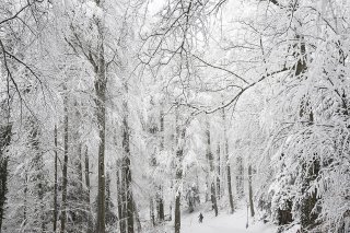 Nous ne sommes plus habitués à des phases glaciales ces dernières années, estime Meteonews (image symbolique). KEYSTONE/ENNIO LEANZA