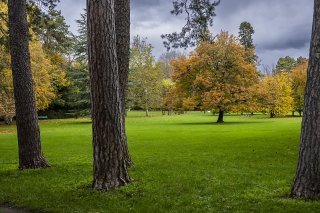La Ville de Genève soumet un crédit de 4.8 millions au Conseil municipal pour poursuivre la végétalisation de la Ville (archives). KEYSTONE/MARTIAL TREZZINI