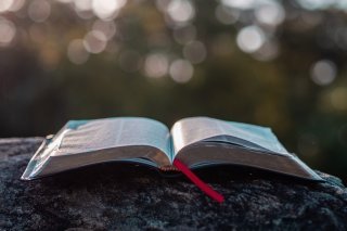 aaron-burden-Fns9jUKGVkw-unsplash(1)