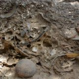 Coupe longitudinale de la fouille de la "poubelle des mamans", dans le village d'Edioungou au Sénégal. Ossements, poteries, coquilles et bouteille en verre sont visibles. Pauline Debels/UNIGE