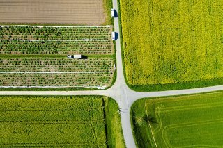 En 2023, 19% des terres assolées et des vignobles ont été exploités sans herbicides en Suisse (illustration). KEYSTONE/MICHAEL BUHOLZER