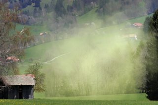 Il y a un siècle, le rhume des foins était pratiquement inconnu en Suisse (archives). Keystone/FABRICE COFFRINI
