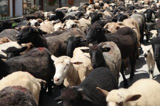 Capture d’écran 2024-05-24 132359