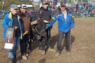 Verdict, de Jean Moulin et Henri-Bernard Glassey a été sacrée reine ce dimanche